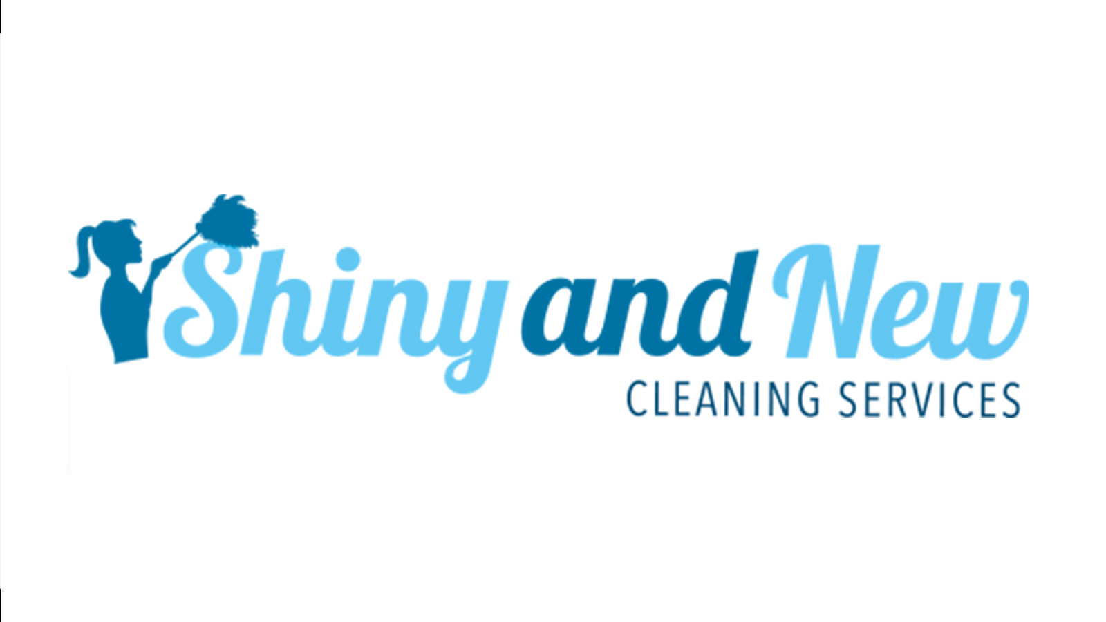 Shiny and New Cleaning Services