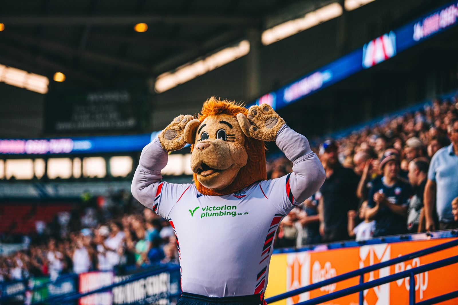 Lofty the Lion