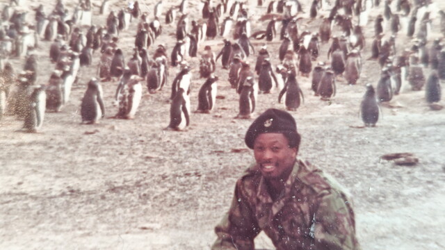 Ed Salmon - penguins
