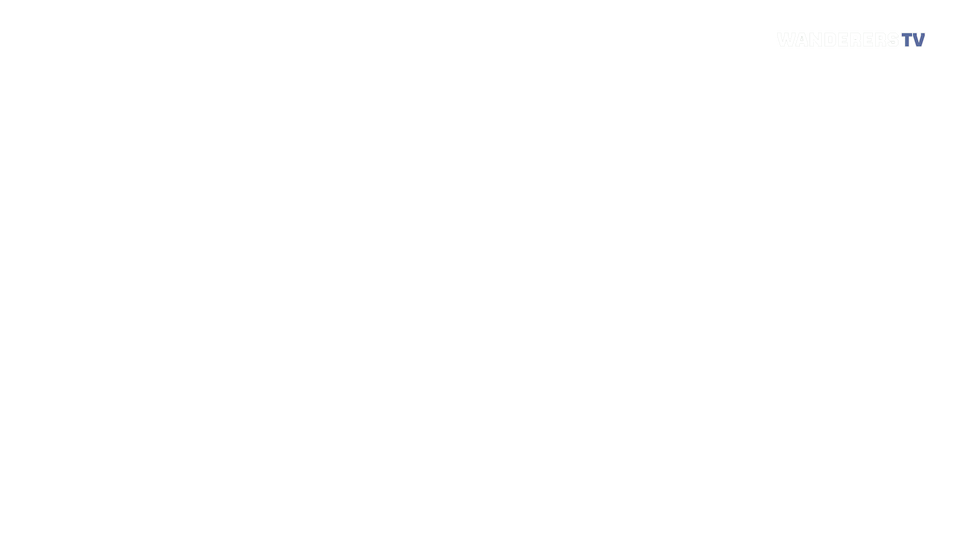 BWFC Watermark Bug