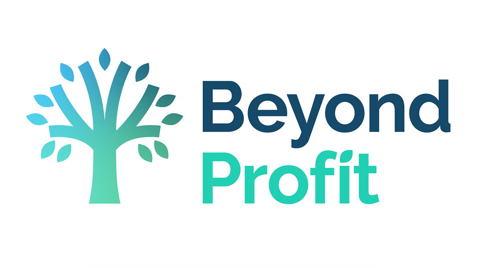 Beyond Profit