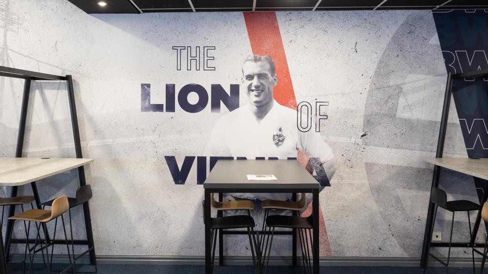 lion of vienna