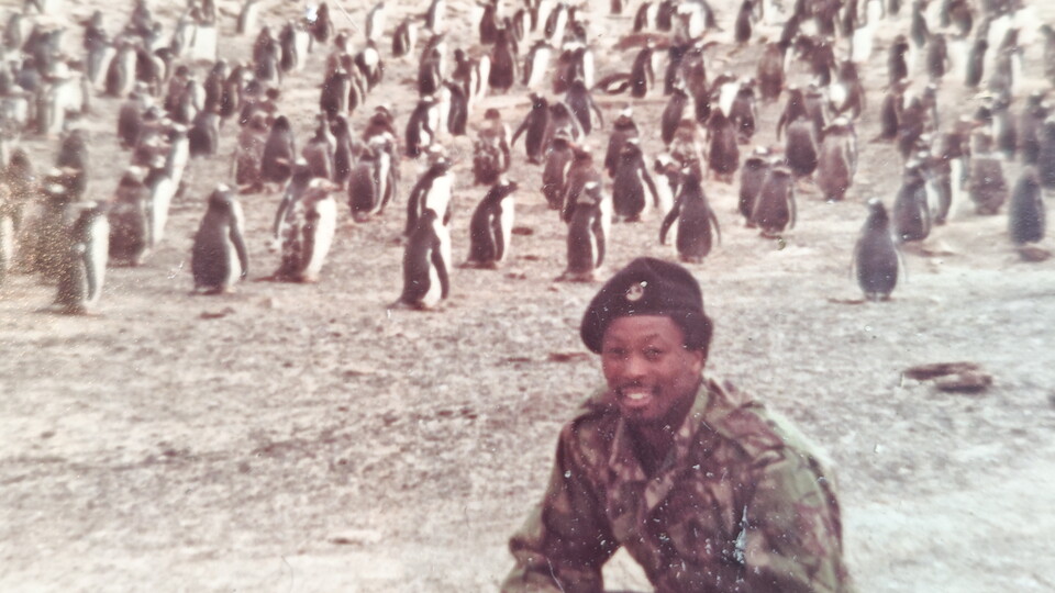 Ed Salmon - penguins